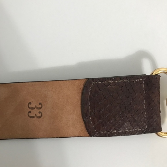 W. Kleinberg Brown Snakeskin Belt with Gold Clip main image 4